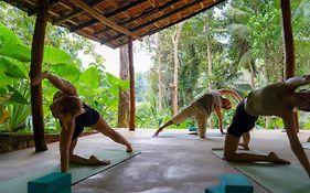 Into The Blue - Yoga Included & Walk To 3 Beaches