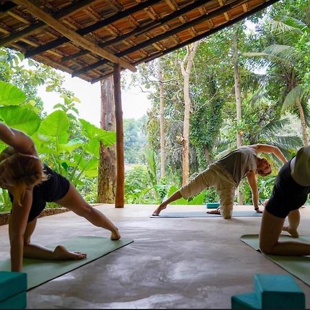Into The Blue - Yoga Included & Walk To 3 Beaches Tangalle Extérieur photo