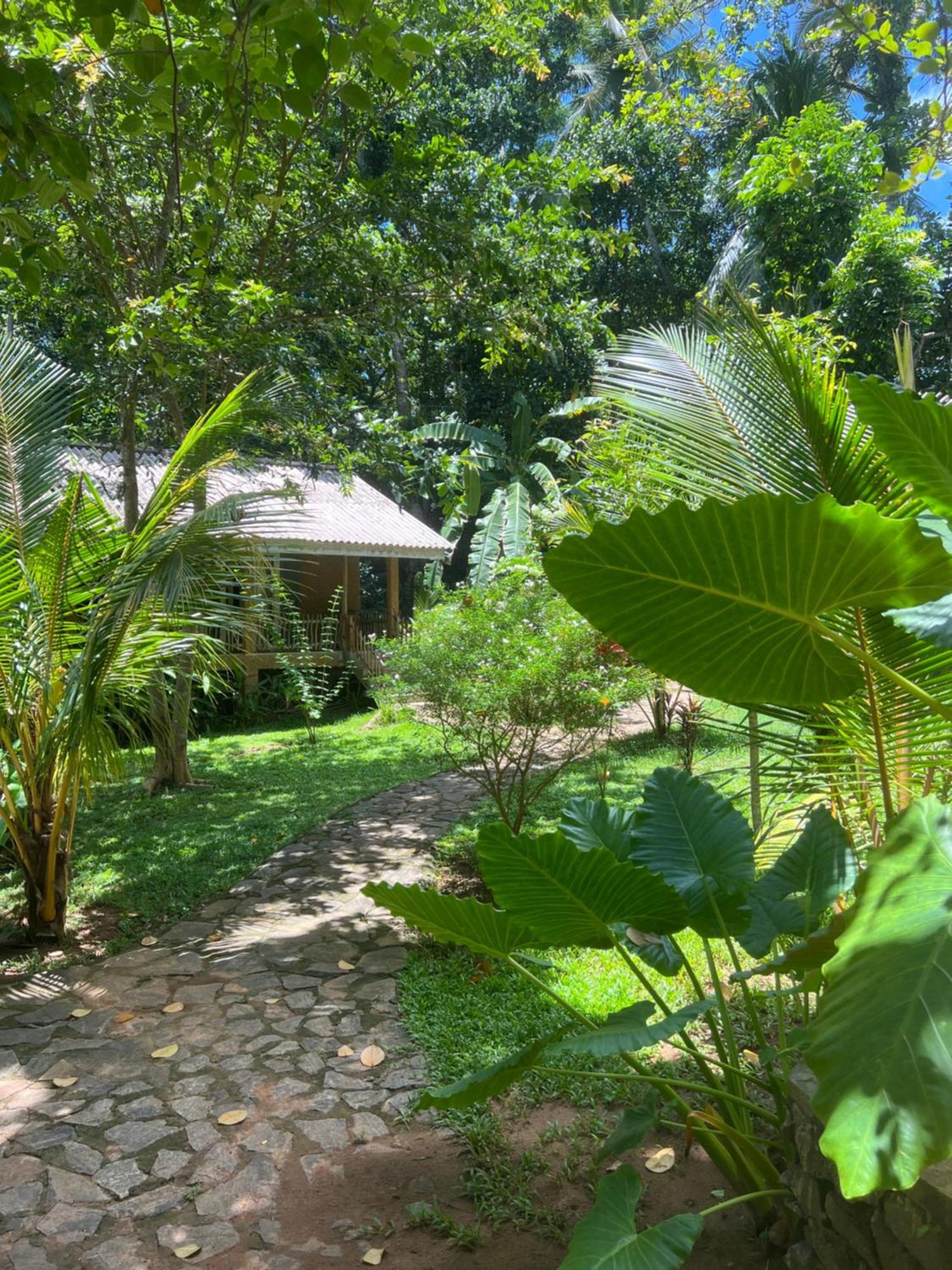 Into The Blue - Yoga Included & Walk To 3 Beaches Tangalle Extérieur photo