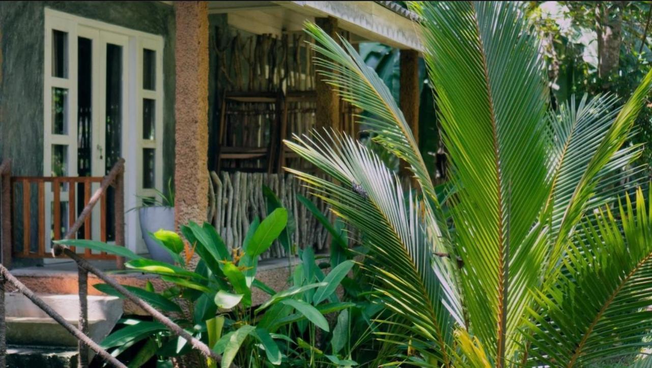 Into The Blue - Yoga Included & Walk To 3 Beaches Tangalle Extérieur photo